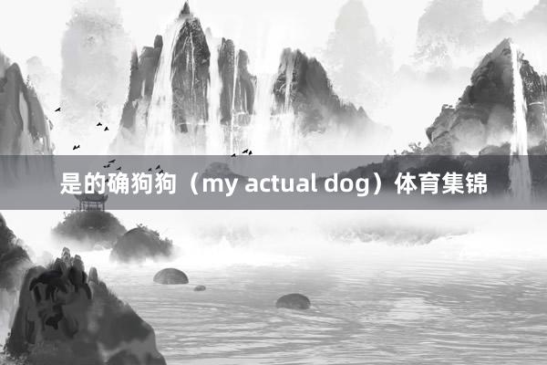 是的确狗狗（my actual dog）体育集锦