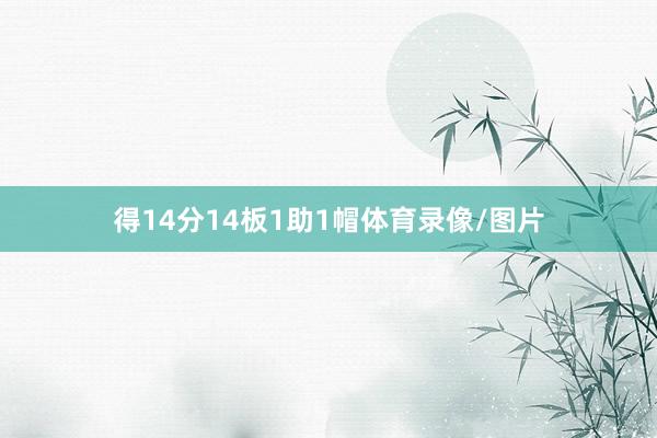 得14分14板1助1帽体育录像/图片