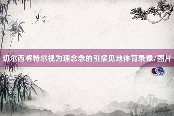 切尔西将特尔视为理念念的引援见地体育录像/图片