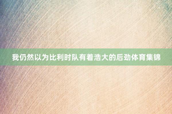 我仍然以为比利时队有着浩大的后劲体育集锦