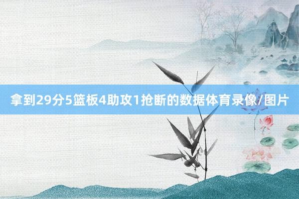 拿到29分5篮板4助攻1抢断的数据体育录像/图片