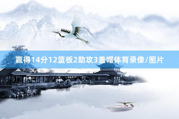 赢得14分12篮板2助攻3盖帽体育录像/图片