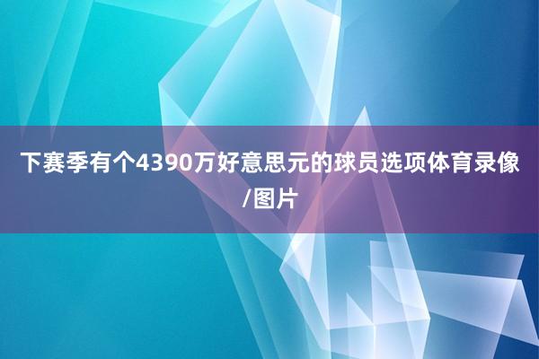 下赛季有个4390万好意思元的球员选项体育录像/图片