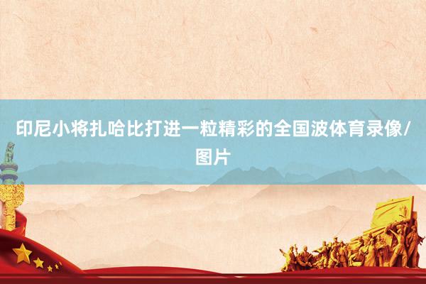 印尼小将扎哈比打进一粒精彩的全国波体育录像/图片