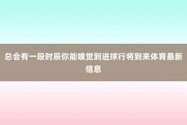 总会有一段时辰你能嗅觉到进球行将到来体育最新信息