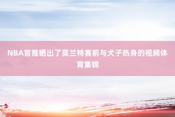 NBA官推晒出了莫兰特赛前与犬子热身的视频体育集锦