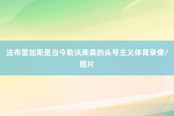 法布雷加斯是当今勒沃库森的头号主义体育录像/图片