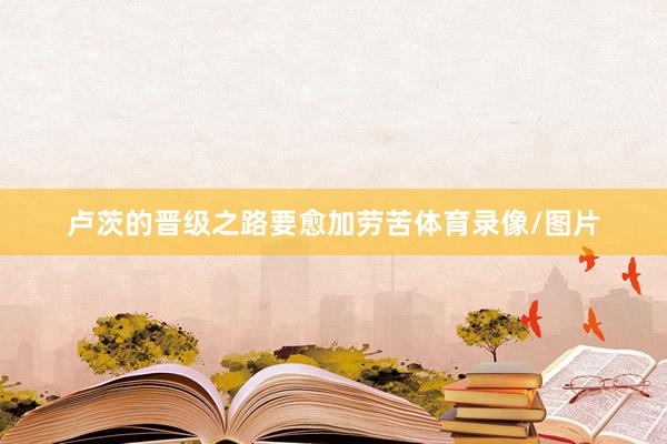 卢茨的晋级之路要愈加劳苦体育录像/图片