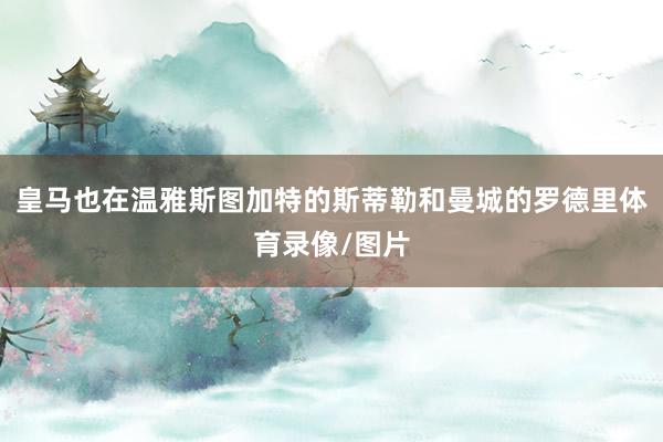 皇马也在温雅斯图加特的斯蒂勒和曼城的罗德里体育录像/图片