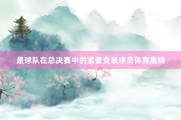 是球队在总决赛中的紧要变装球员体育集锦