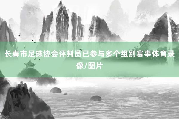 长春市足球协会评判员已参与多个组别赛事体育录像/图片
