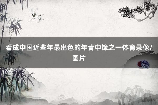 看成中国近些年最出色的年青中锋之一体育录像/图片