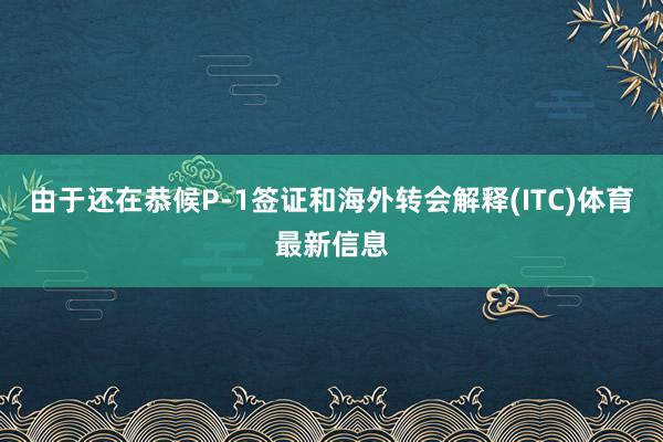 由于还在恭候P-1签证和海外转会解释(ITC)体育最新信息