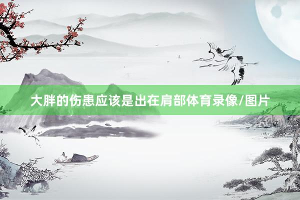 大胖的伤患应该是出在肩部体育录像/图片