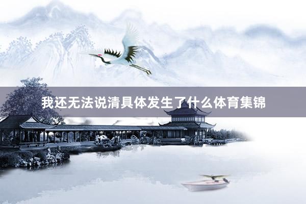我还无法说清具体发生了什么体育集锦