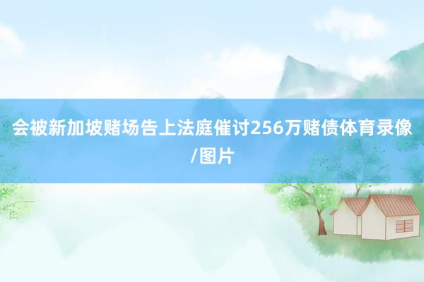 会被新加坡赌场告上法庭催讨256万赌债体育录像/图片