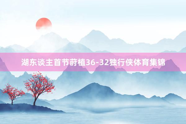 湖东谈主首节莳植36-32独行侠体育集锦