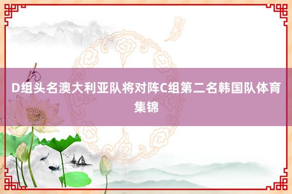 D组头名澳大利亚队将对阵C组第二名韩国队体育集锦