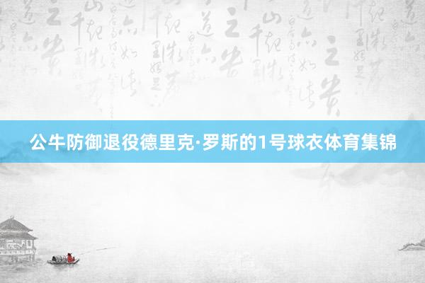 公牛防御退役德里克·罗斯的1号球衣体育集锦