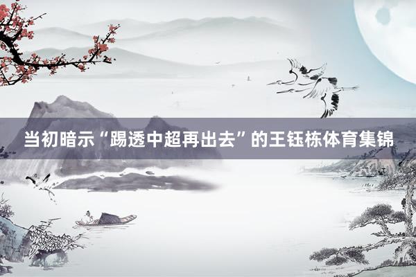 当初暗示“踢透中超再出去”的王钰栋体育集锦