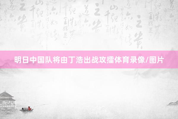 明日中国队将由丁浩出战攻擂体育录像/图片