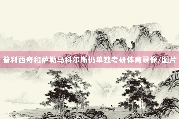 普利西奇和萨勒马科尔斯仍单独考研体育录像/图片