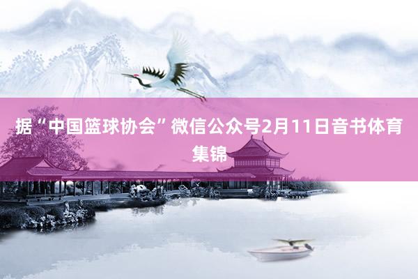 据“中国篮球协会”微信公众号2月11日音书体育集锦