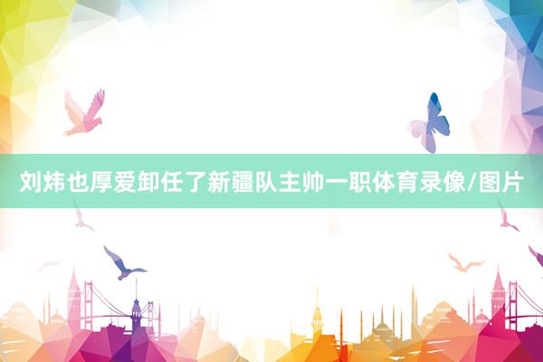 刘炜也厚爱卸任了新疆队主帅一职体育录像/图片