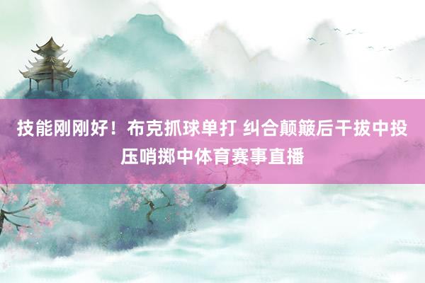 技能刚刚好！布克抓球单打 纠合颠簸后干拔中投压哨掷中体育赛事直播