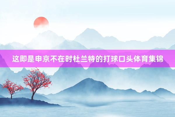 这即是申京不在时杜兰特的打球口头体育集锦