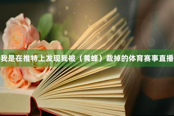 我是在推特上发现我被（黄蜂）裁掉的体育赛事直播