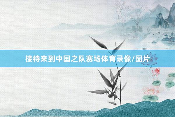 接待来到中国之队赛场体育录像/图片
