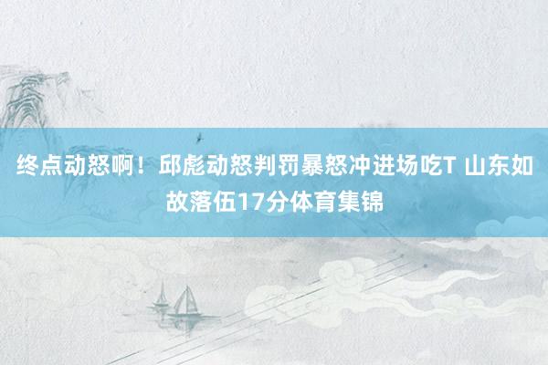 终点动怒啊！邱彪动怒判罚暴怒冲进场吃T 山东如故落伍17分体育集锦