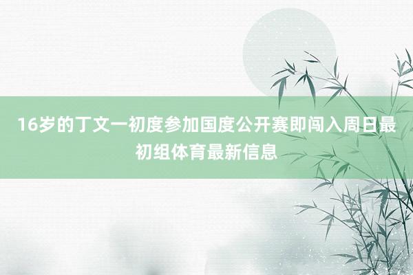 16岁的丁文一初度参加国度公开赛即闯入周日最初组体育最新信息
