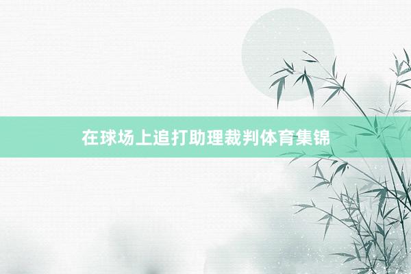 在球场上追打助理裁判体育集锦