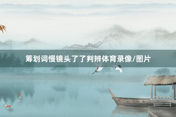 筹划词慢镜头了了判辨体育录像/图片