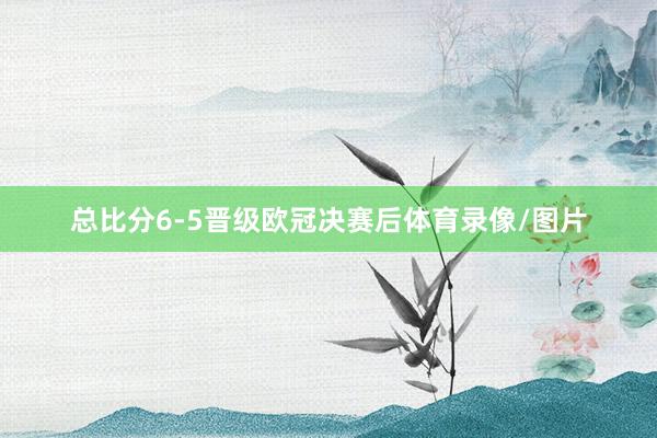 总比分6-5晋级欧冠决赛后体育录像/图片