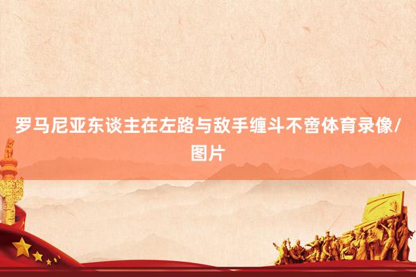 罗马尼亚东谈主在左路与敌手缠斗不啻体育录像/图片