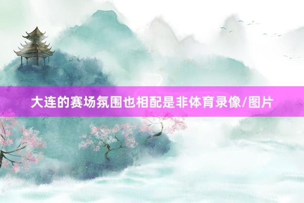 大连的赛场氛围也相配是非体育录像/图片