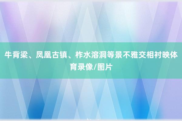 牛背梁、凤凰古镇、柞水溶洞等景不雅交相衬映体育录像/图片
