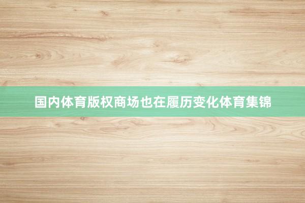 国内体育版权商场也在履历变化体育集锦