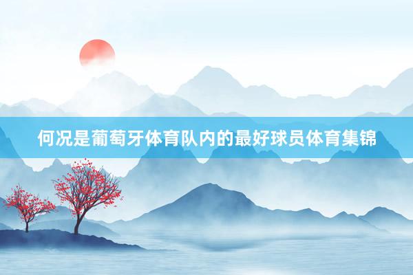 何况是葡萄牙体育队内的最好球员体育集锦