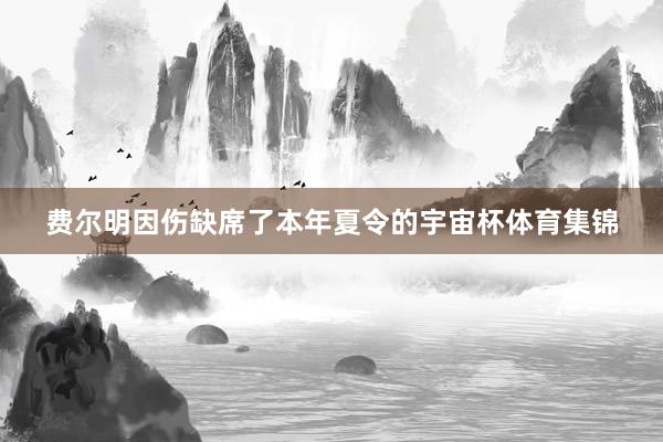费尔明因伤缺席了本年夏令的宇宙杯体育集锦