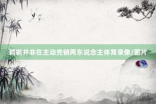 鹈鹕并非在主动兜销两东说念主体育录像/图片